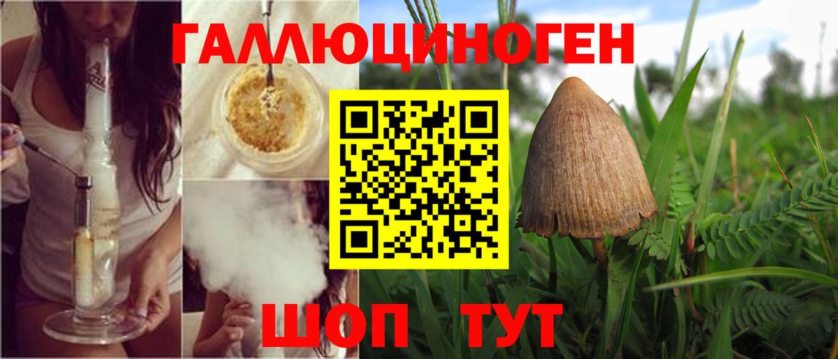 Галлюциногенные грибы GOLDEN TEACHER  как найти закладки  Горно-Алтайск  Вход с VPN 